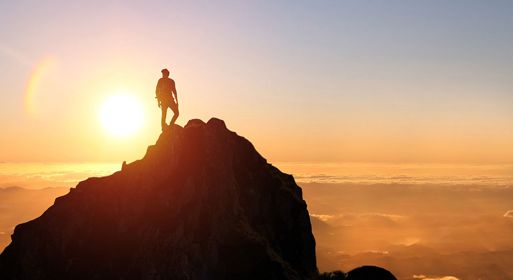 公司价值观：品质、责任、共赢、诚信。